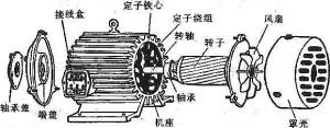 振動電機損壞的常見原因有哪些？